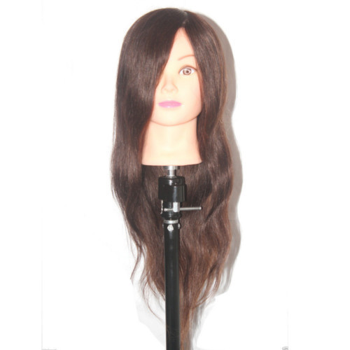 Mannequin Head For Makeup Practice 100% Original Hair Age Group: Adults at  Best Price in Delhi | Ritzkart