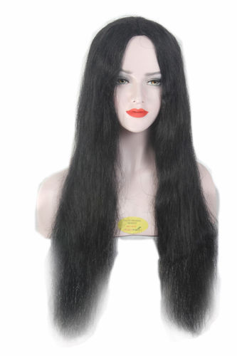 Women Indian Natural and Smooth Black Long Straight Hair Wigs