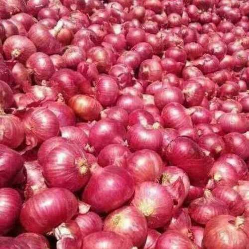 Fresh And Natural Red Onion