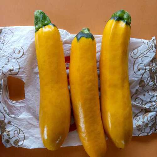 Fresh and Natural Yellow Zucchini