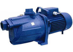 Heavy Duty Self Priming Centrifugal Pump Pressure: High Pressure