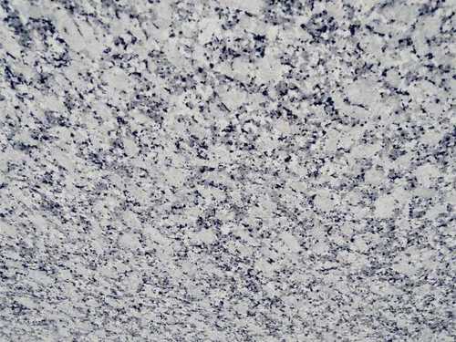 P White Granite Slab Size: Various Sizes Are Available