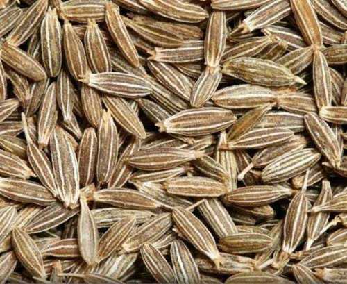 Natural Taste Cumin Seeds