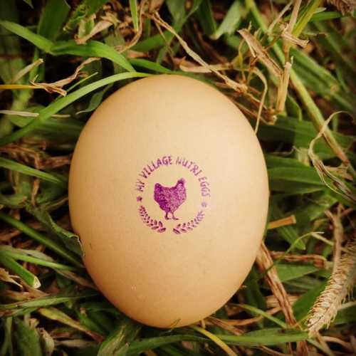 Pure Organic Brown Eggs