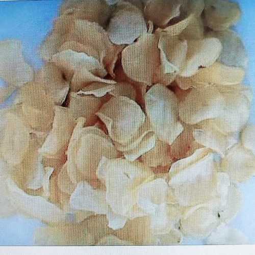 Fresh Salted Potato Chips