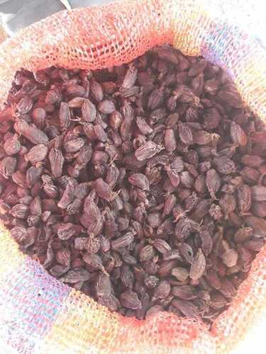 Farm Fresh Black Cardamom Grade: Nepal