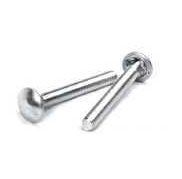 Stainless Steel Carriage Bolt