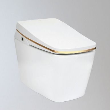 Rectangular Integrated Toilet Tankless Electronic Bidet (Tcb 9100G)