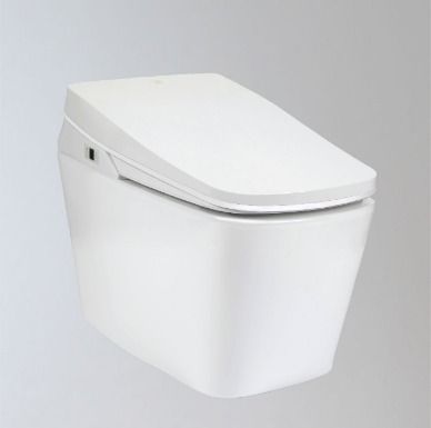 Sanitary Ware Suite Integrated Toilet Tankless Electronic Bidet (Tcb 9100W)