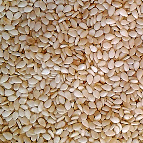 Hulled White Sesame Seeds