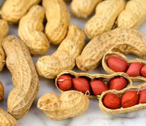 Export Quality Raw Groundnuts