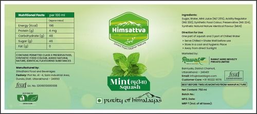 Beverage Fat Free Pudina Mint Squash