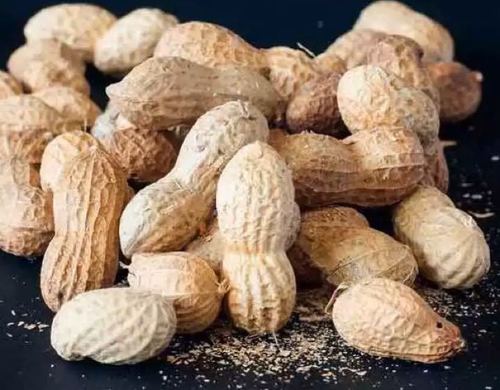 Natural Dried Groundnuts With Shell