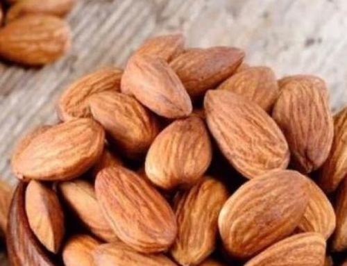 Brown Natural Dry Almond Nuts