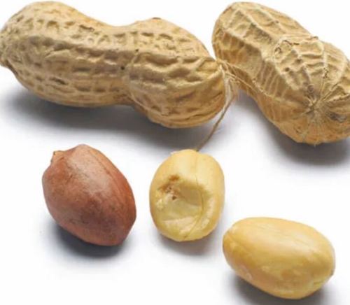 Raw Peanuts - Loose, Sun Dried Naturally Cultivated Ground Nuts | Organic Fertilizer, 12 Months Shelf Life, Whole and Split Varieties