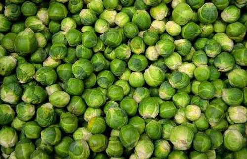 Green Fresh Brussels Sprouts 