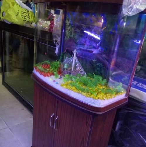 Acrylic Glass Fish Aquarium