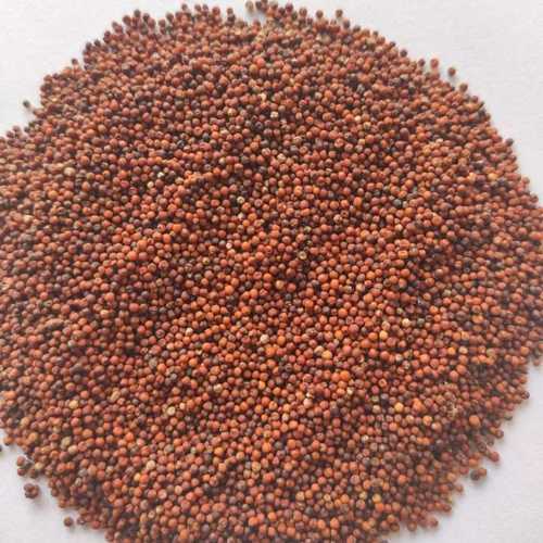 Brown Cleaned And Dried Ragi Grain