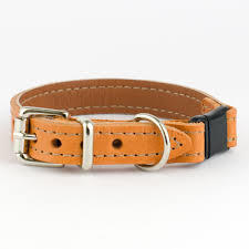 Leather Cat Collar