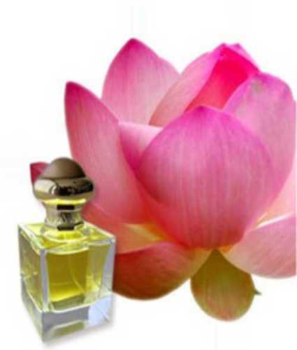 Multi Fragrance Attar Perfumes