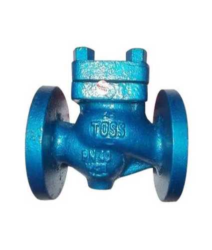 Cast Iron Check Valves Application: Industrial