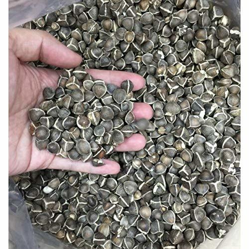 Natural Herbal Moringa Seeds