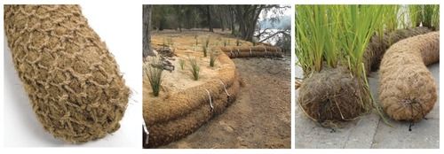 Erosion Regeneration Coir Logs