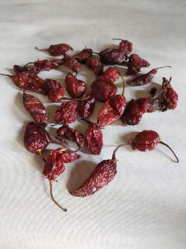 Natural Dried Red Chilli Grade: Spice