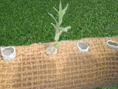 Natural Strong Coir Logs