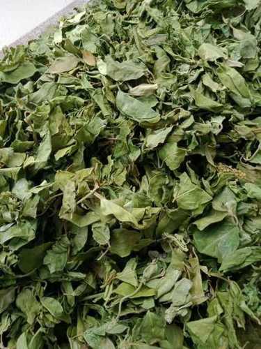 Dried Gymnema Sylvestre Leaves