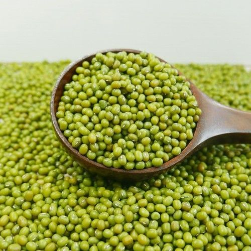 Fresh Green Mung Beans