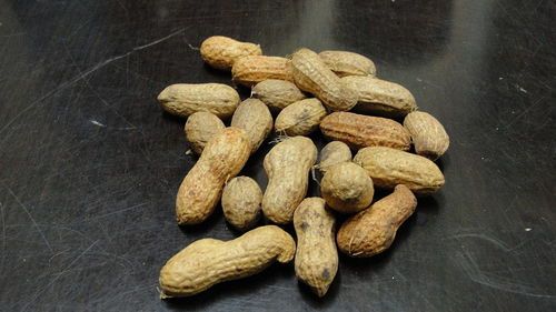 Organic Fresh Ground Nut Seeds