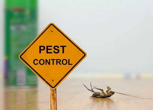 Pest Control Services  By Your Self Pest Control