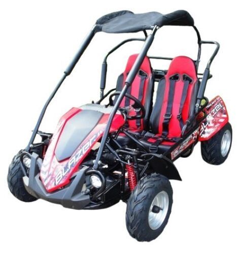 200Cc Trailmaster Blazer 200R Mid Size Go Kart At Best Price In ...