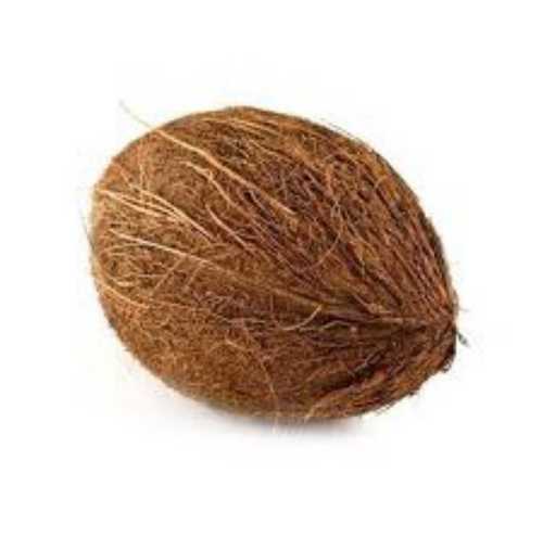 Brown Good Taste Freshness Dry Coconut