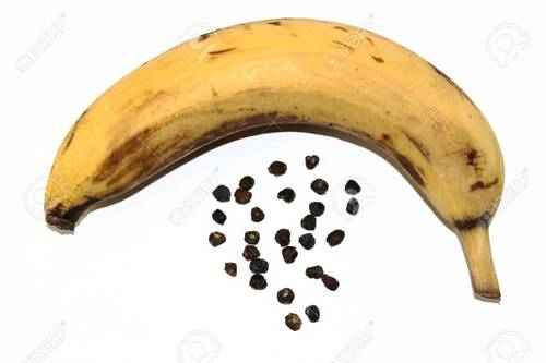 High Grade Banana Seeds