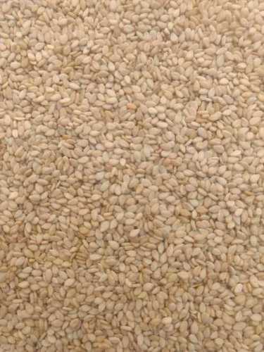 Sun Dry Sesame Seeds