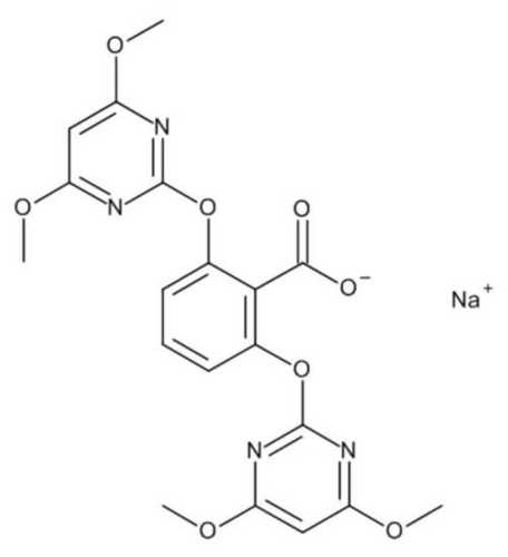 Bispyribac Sodium 10%SC