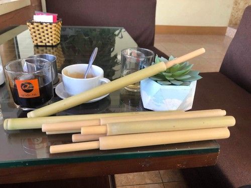 Eco Friendly Bamboo Straws