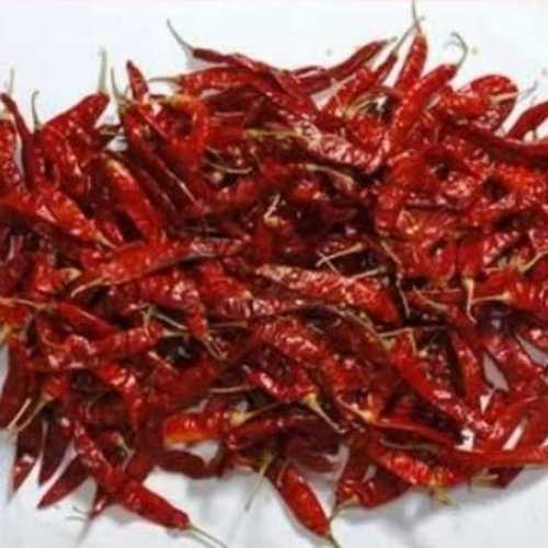 Indian Dried Red Chillies