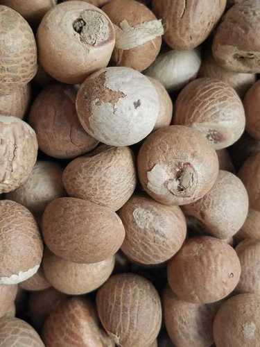 Brown Indian Round Betel Nut 