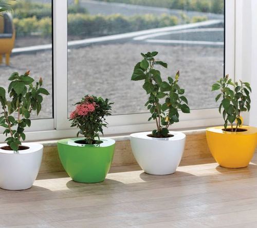 Triangle Shape Pots For Planting