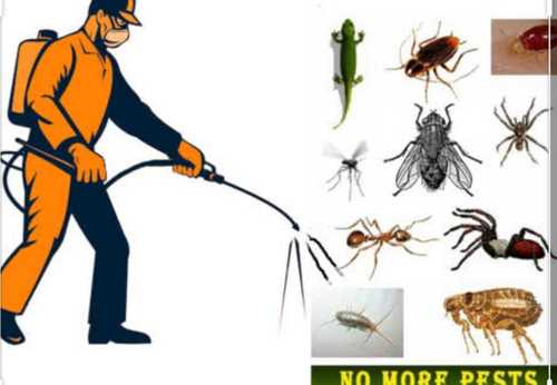 Indoor Pest Control Service By The Pest Control Services