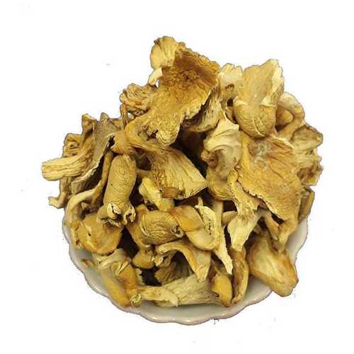 Yellow Organic Dried Oyster Mushroom