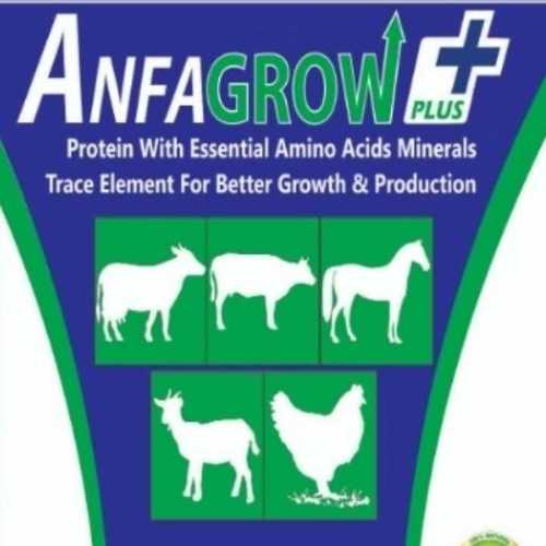 Anfa Grow Plus Cattle Feed