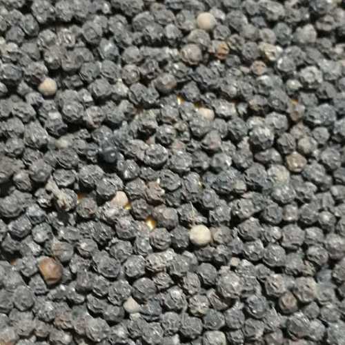 Dried Bold Size Black Pepper