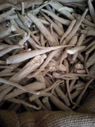 Herbal Dried Ashwagandha Root Age Group: For Adults