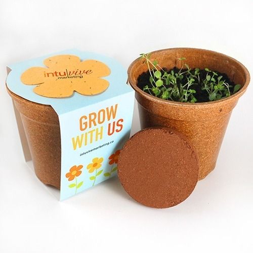 Sprouter Grow Kit Eco-Friendly