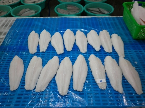 Frozen Pangasius Fish Fillet