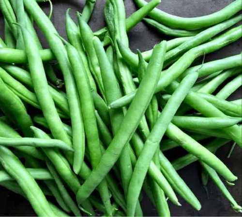 High Protein Cultivated Fresh Beans